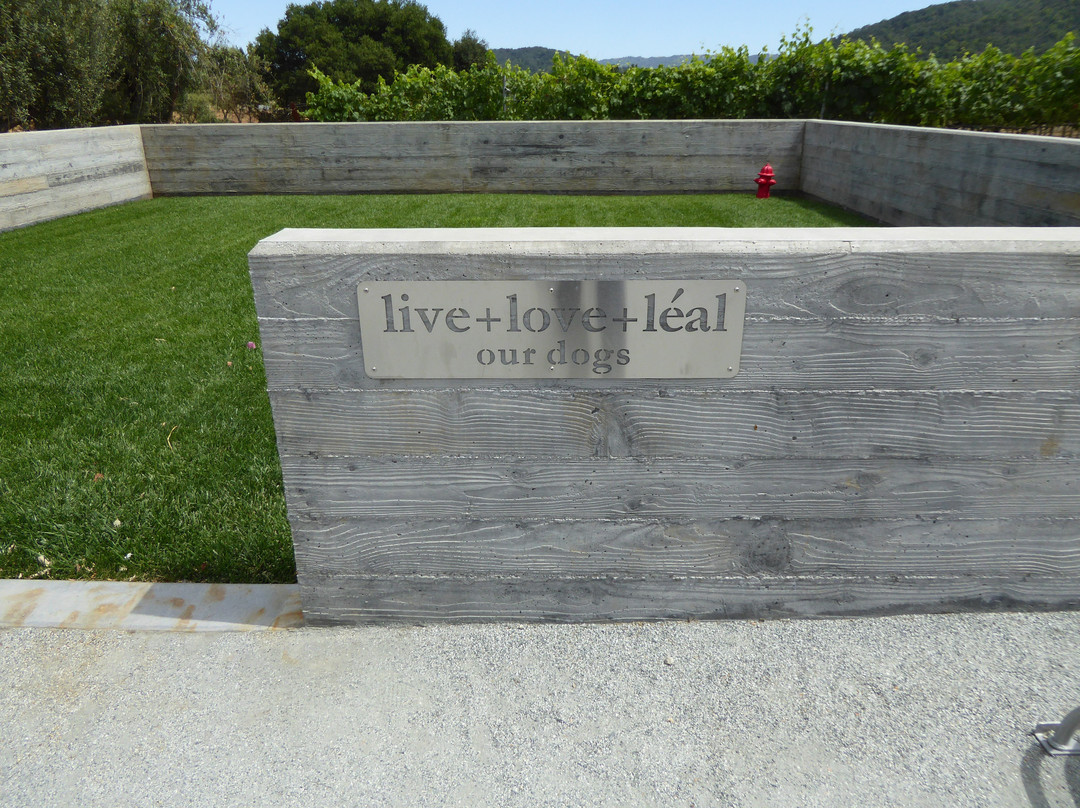 Sycamore Creek Vineyards-摩根希尔必去景点