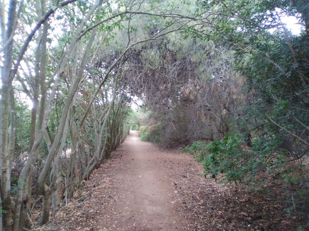 Parco della Favorita-巴勒莫必去景点