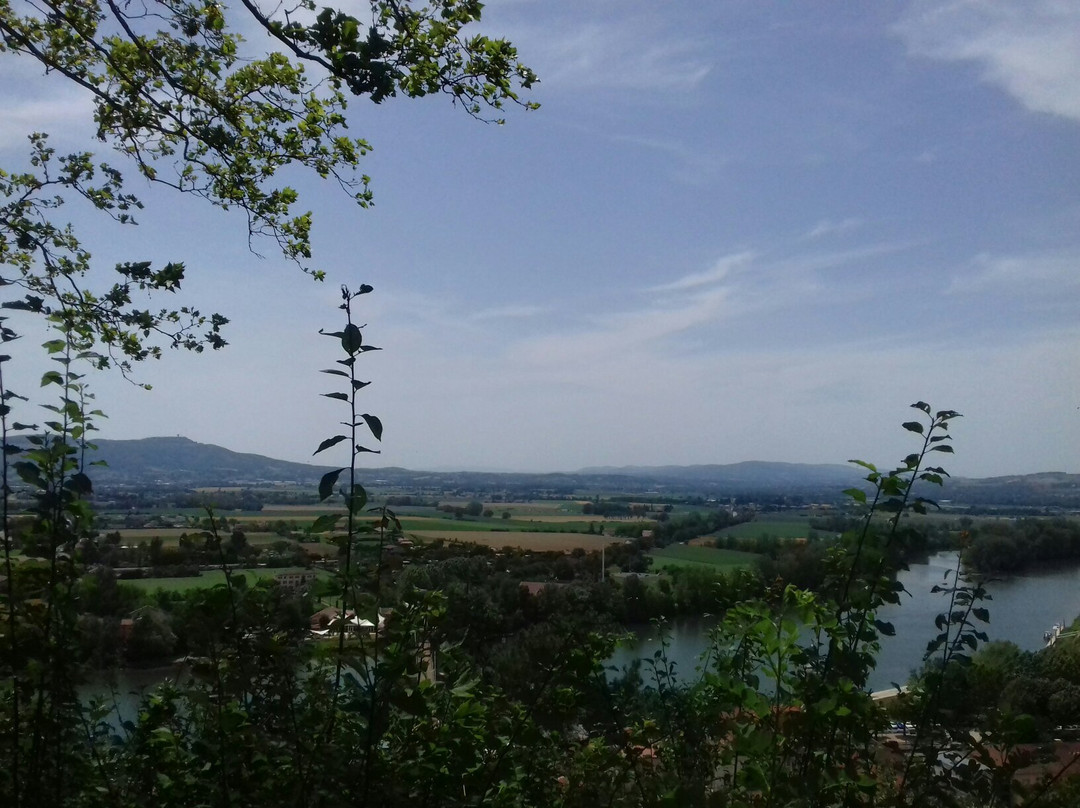 Office de Tourisme Ars Trévoux-Trevoux必去景点