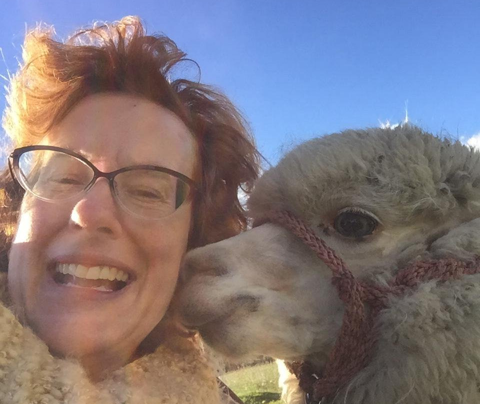 Hacienda Santa Ana主图