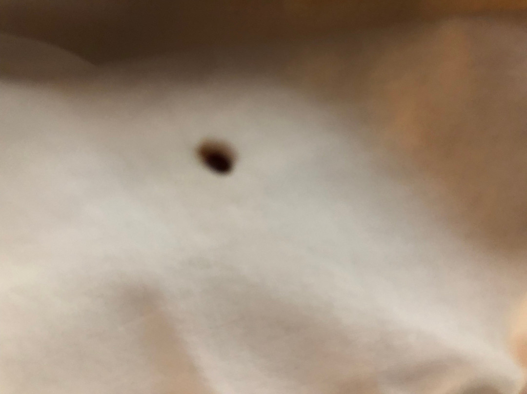 Comfort Inn Barboursville Near Huntington Mall Area主图