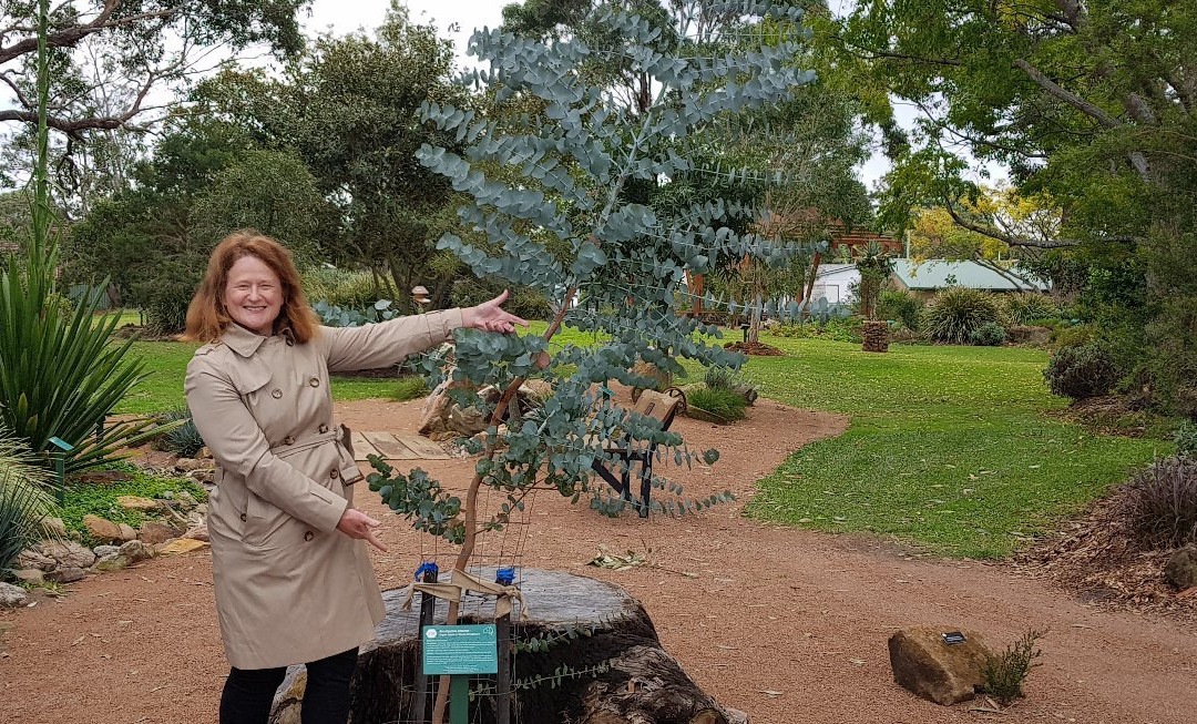 Shoalhaven Heads Native Botanic Garden景点图片