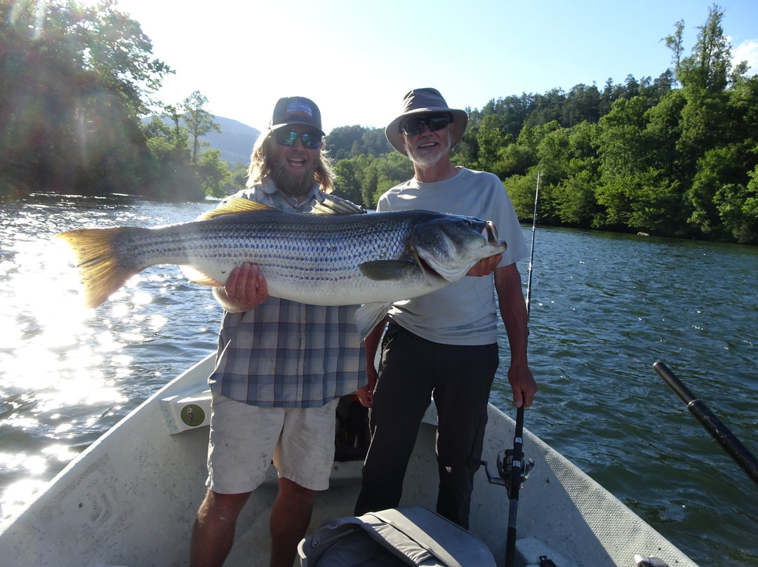 Southeastern Anglers-Reliance必去景点