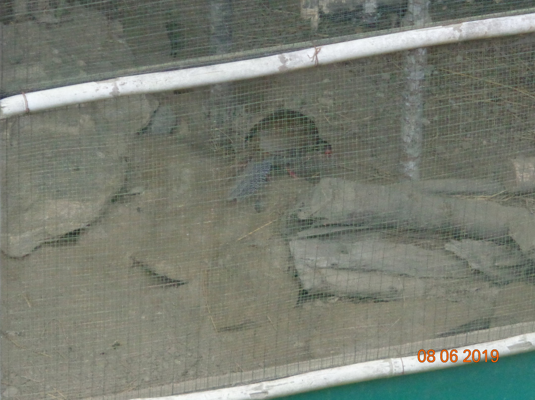 Maenam Wildlife Sanctuary-Namchi必去景点