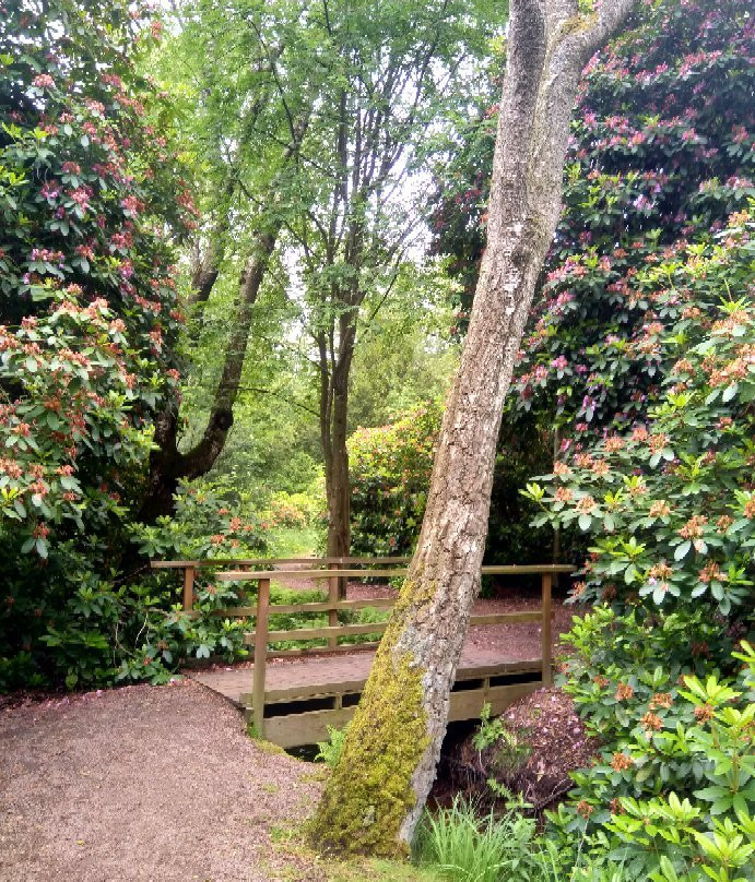 Rhododendronparken-哈姆斯塔德必去景点