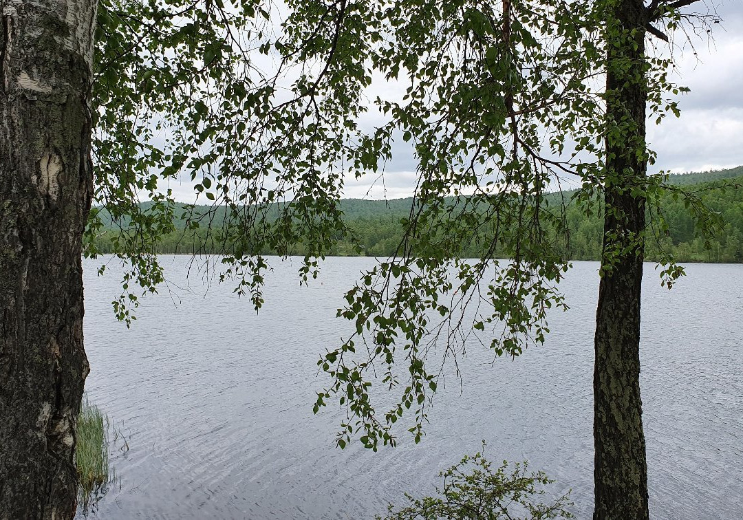 Lake Dikoye景点图片