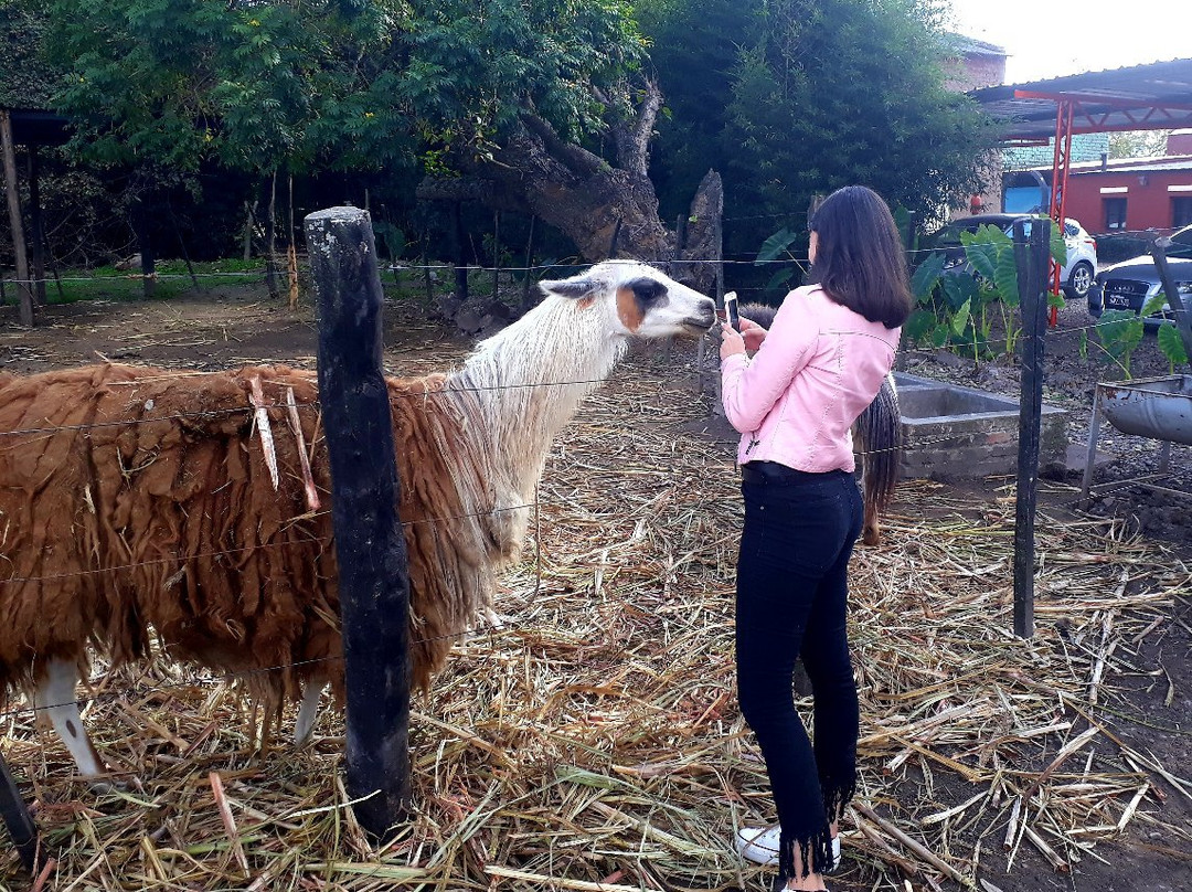 Hotel Los Arcos主图