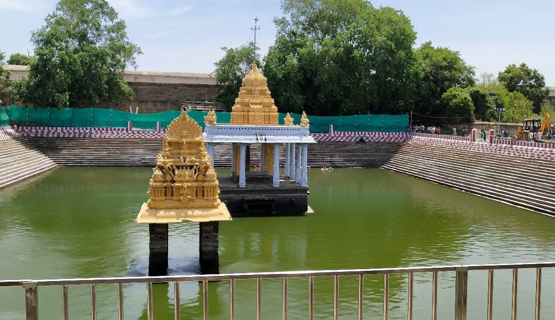 Varatha raja perumal temple景点图片