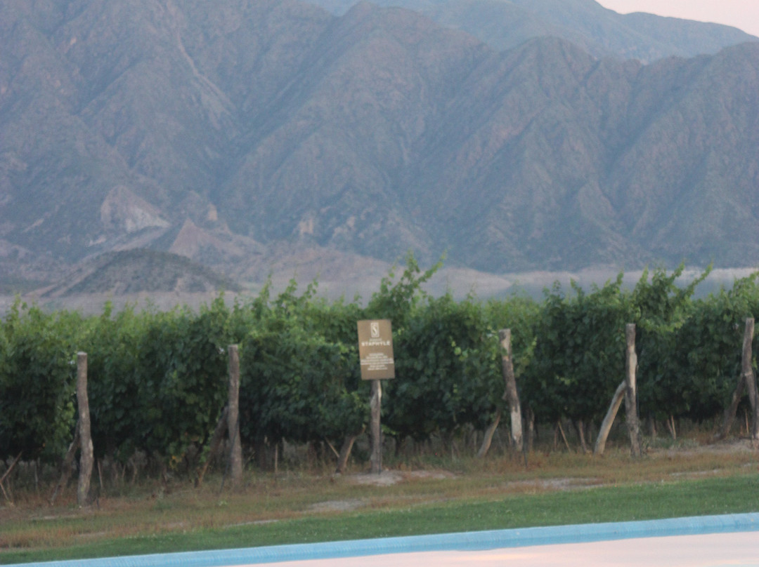 Gran Hotel Potrerillos主图