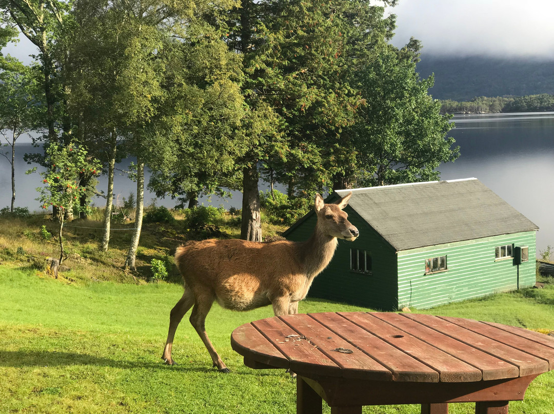 Loch Maree Hotel主图