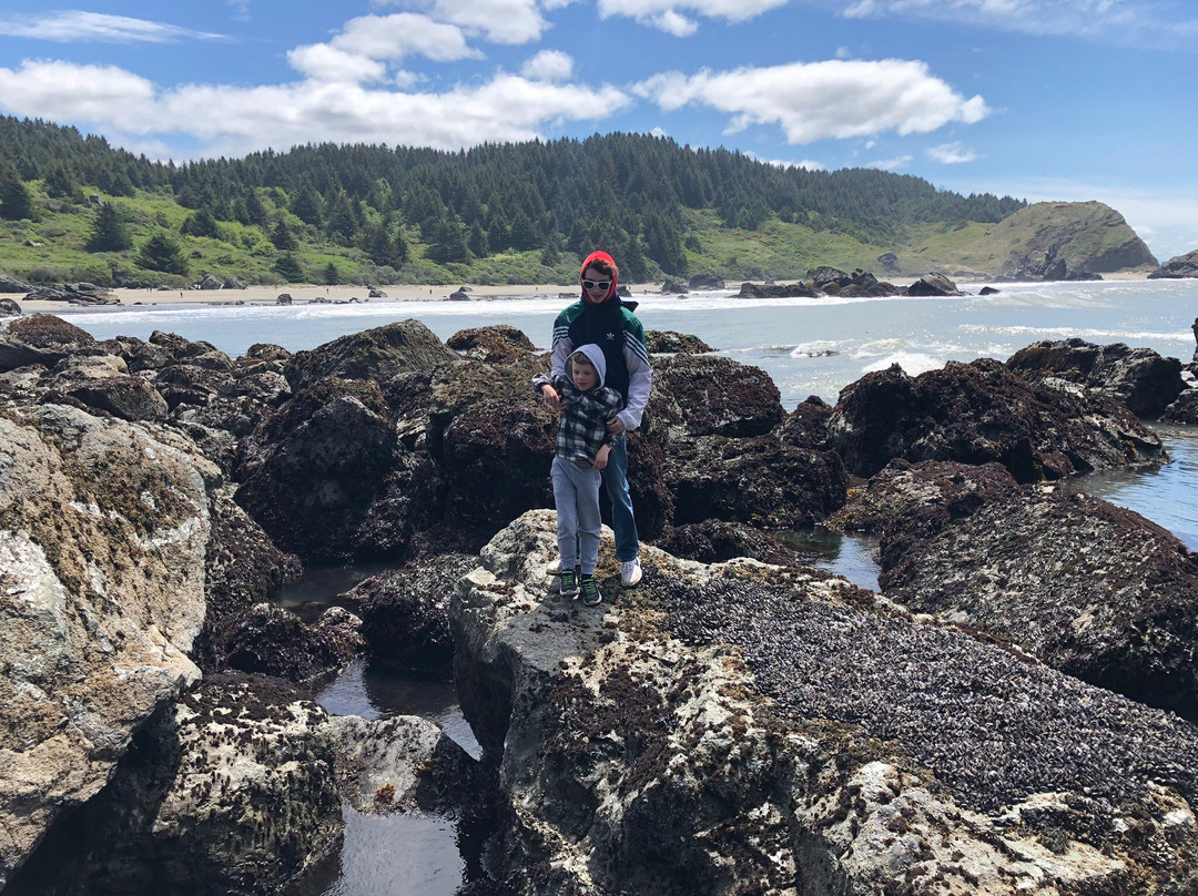 Lone Ranch Beach-布鲁金斯必去景点