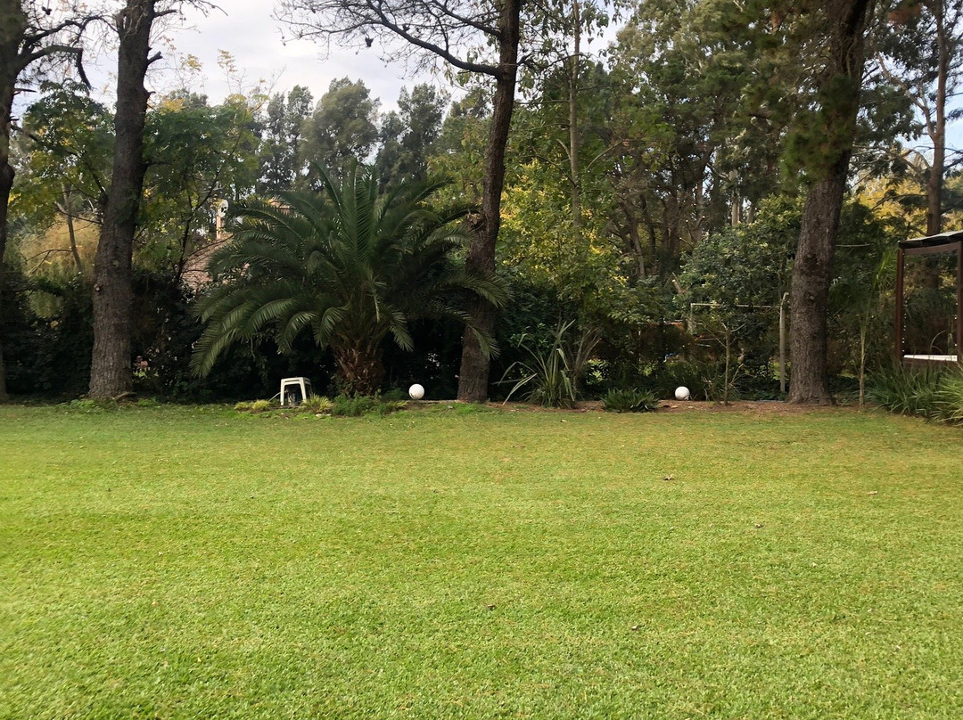 Mi Espacio Sur主图