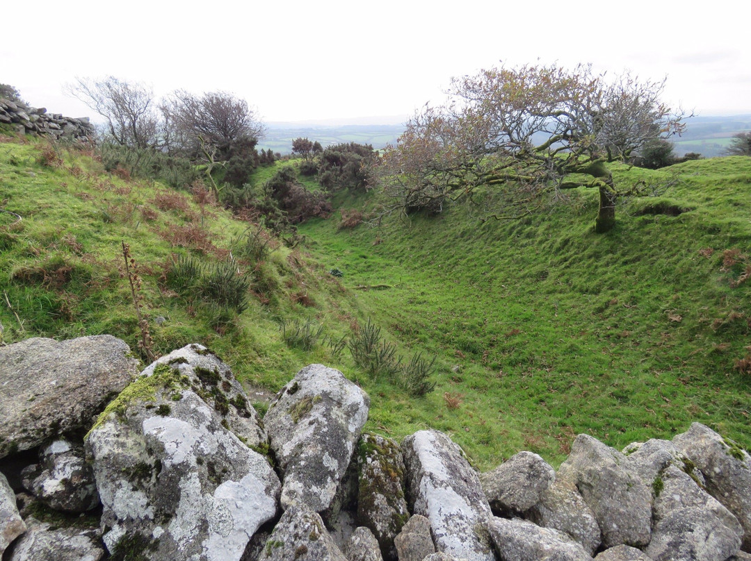 Cardinham And Bury Castle Circular Walk景点图片
