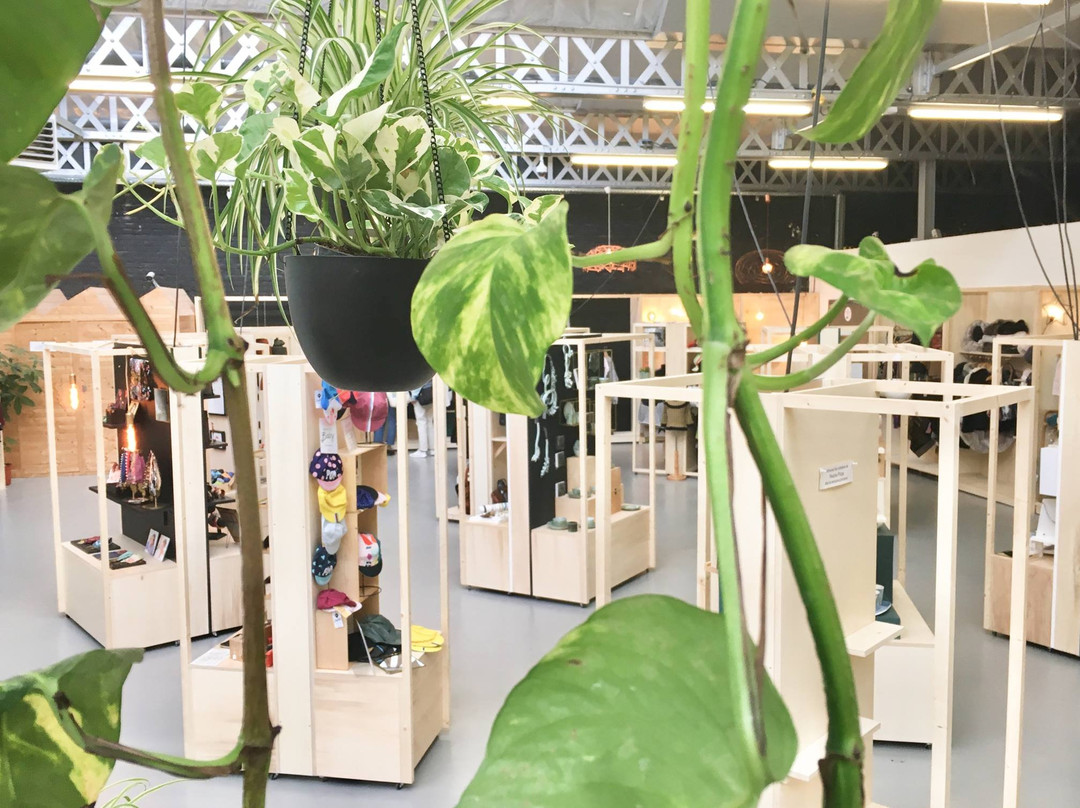 Le Grand Bassin-鲁贝必去景点