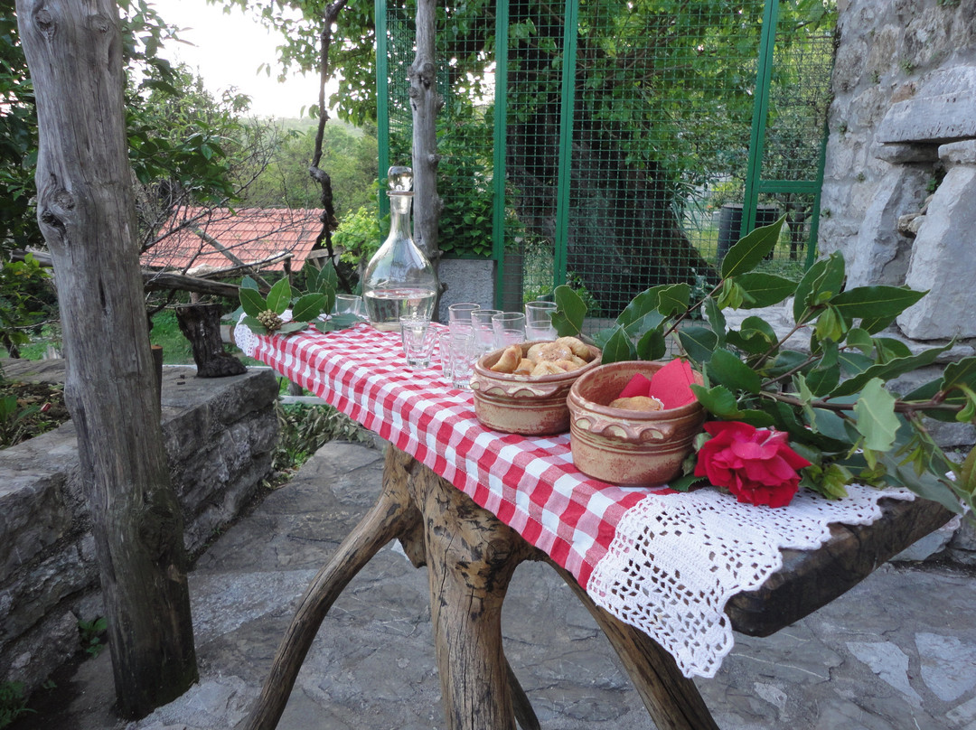 Old Wine House Montenegro景点图片