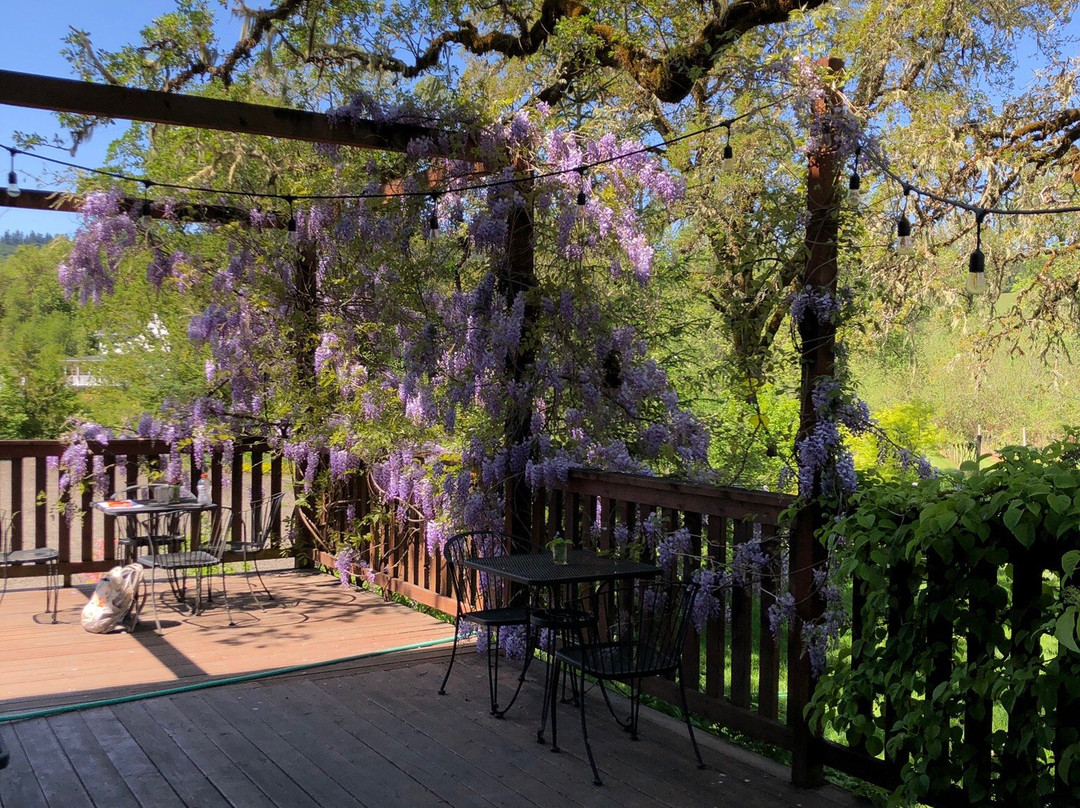 Harris Bridge Vineyard-Philomath必去景点