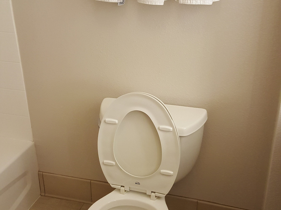 Holiday Inn Express Milwaukee N-brown Deer/mequon By IHG主图