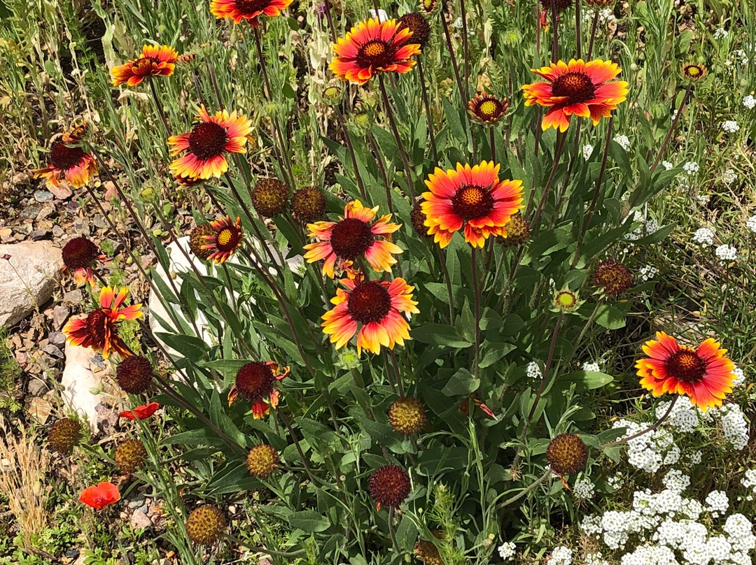 The Clarkdale Lodge主图