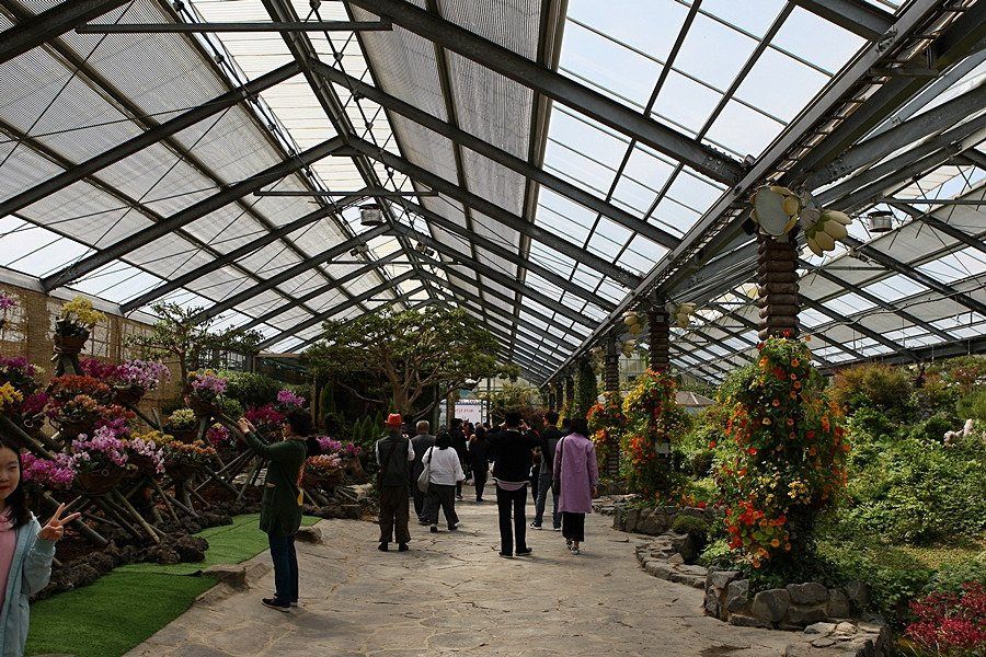 Hampyeong Expo Park - Natural Ecological Museum景点图片