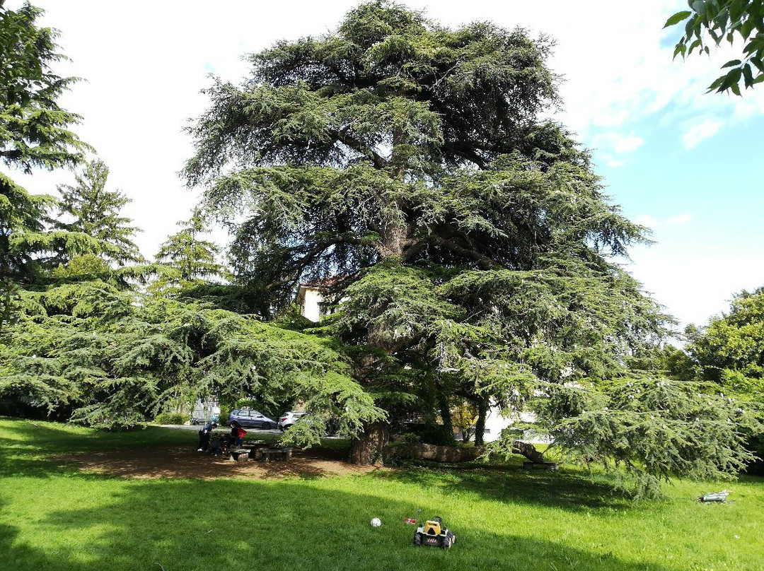 Giardino Botanico Colla景点图片