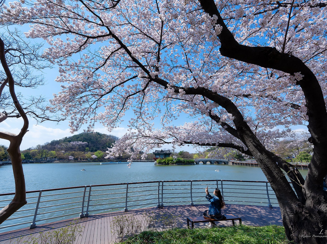 Daegu Duryu Park-大邱必去景点