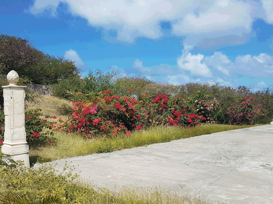 Habitation La Mahaudière-Anse-Bertrand必去景点
