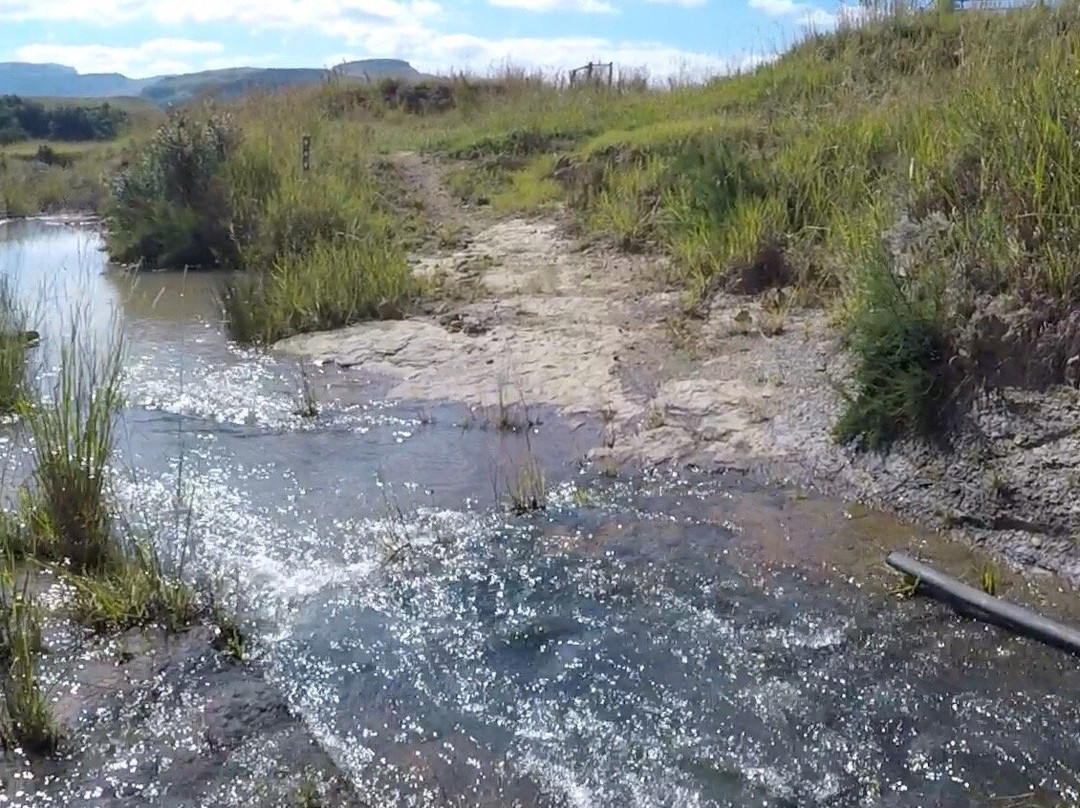 All Out Adventures-柏维必去景点