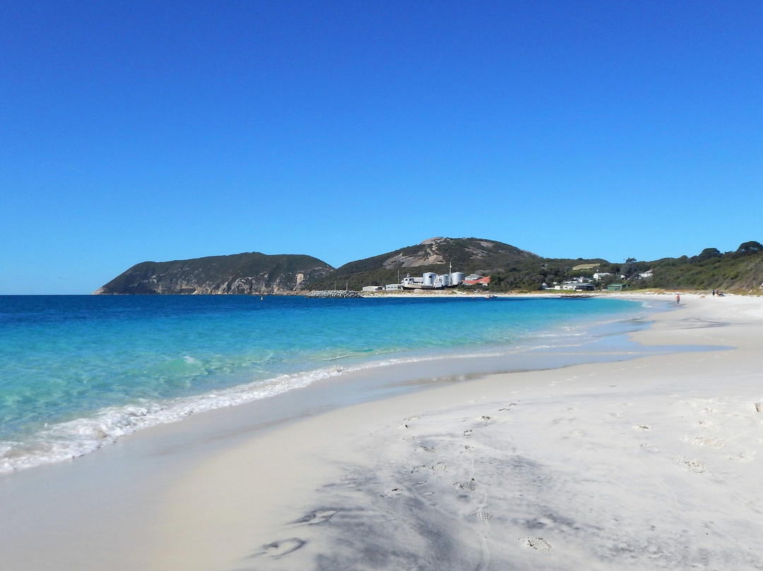 Frenchman Bay-奥尔巴尼必去景点