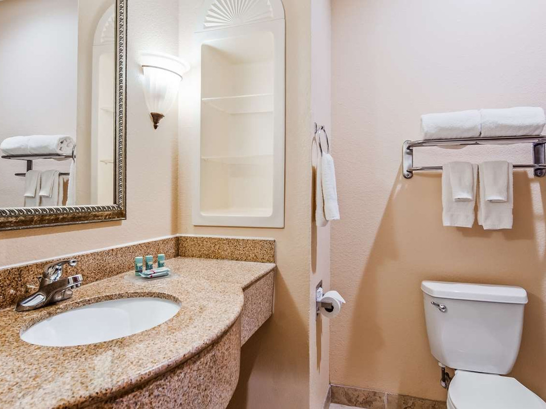 Best Western South Plains Inn & Suites主图