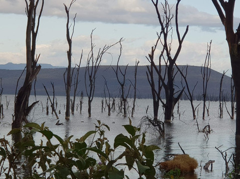 null-纳库鲁湖国家公园