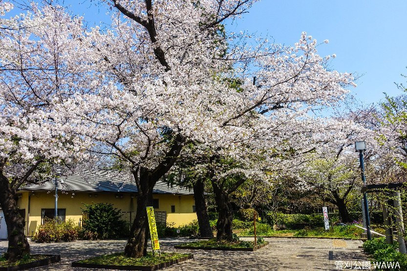 Sugekari Park-目黒区必去景点