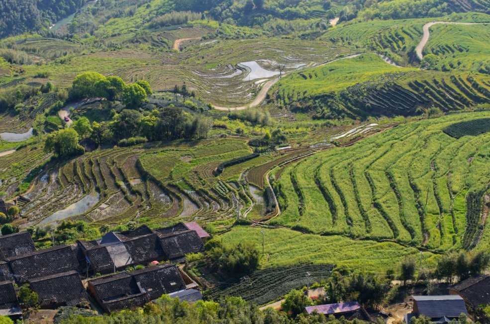 念山梯田-政和县必去景点