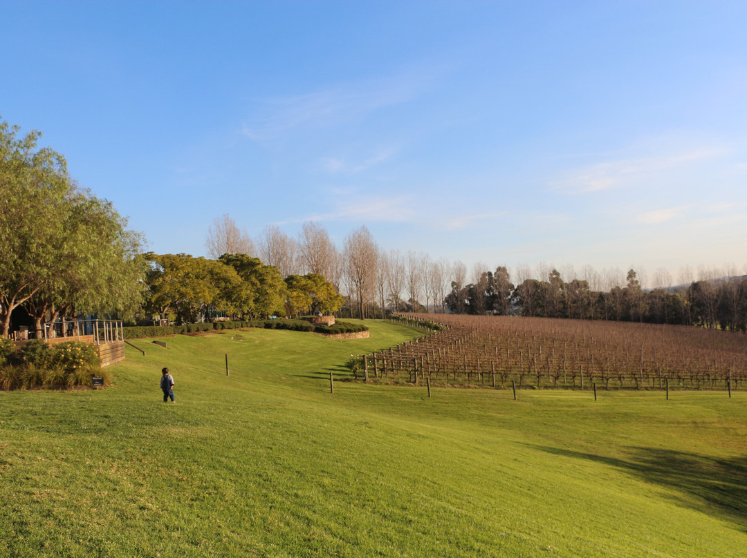 希尔斯维尔保护区-希尔斯维尔必去景点