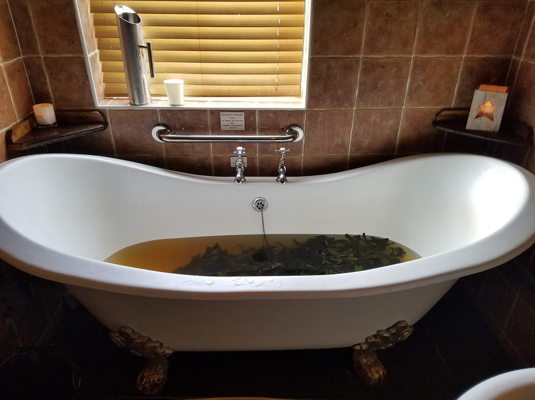 Voya Seaweed Baths-斯特兰迪希尔必去景点
