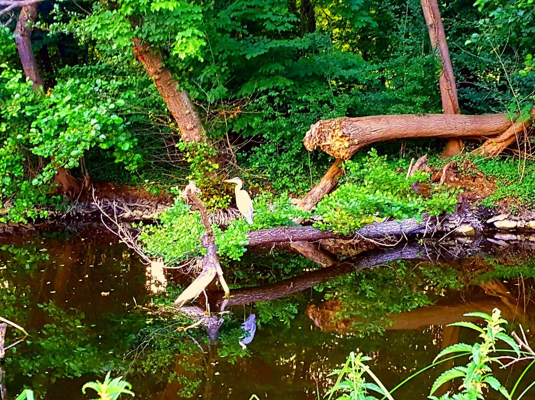 Parc de Lormoy-Longpont-sur-Orge必去景点
