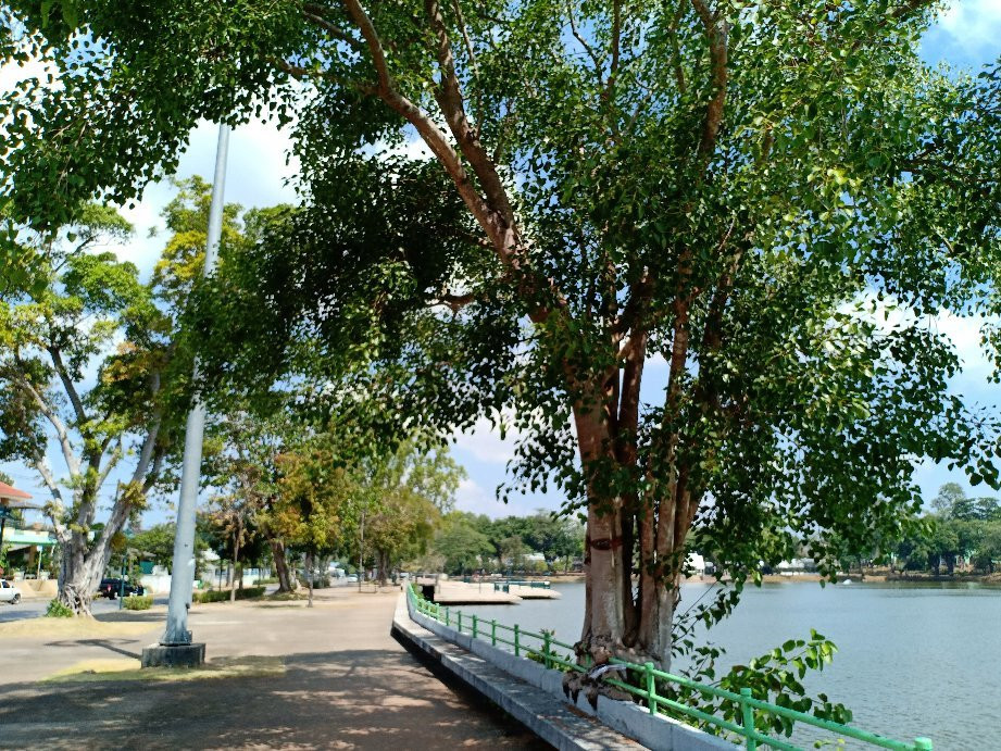 Kapang Surin Pond景点图片