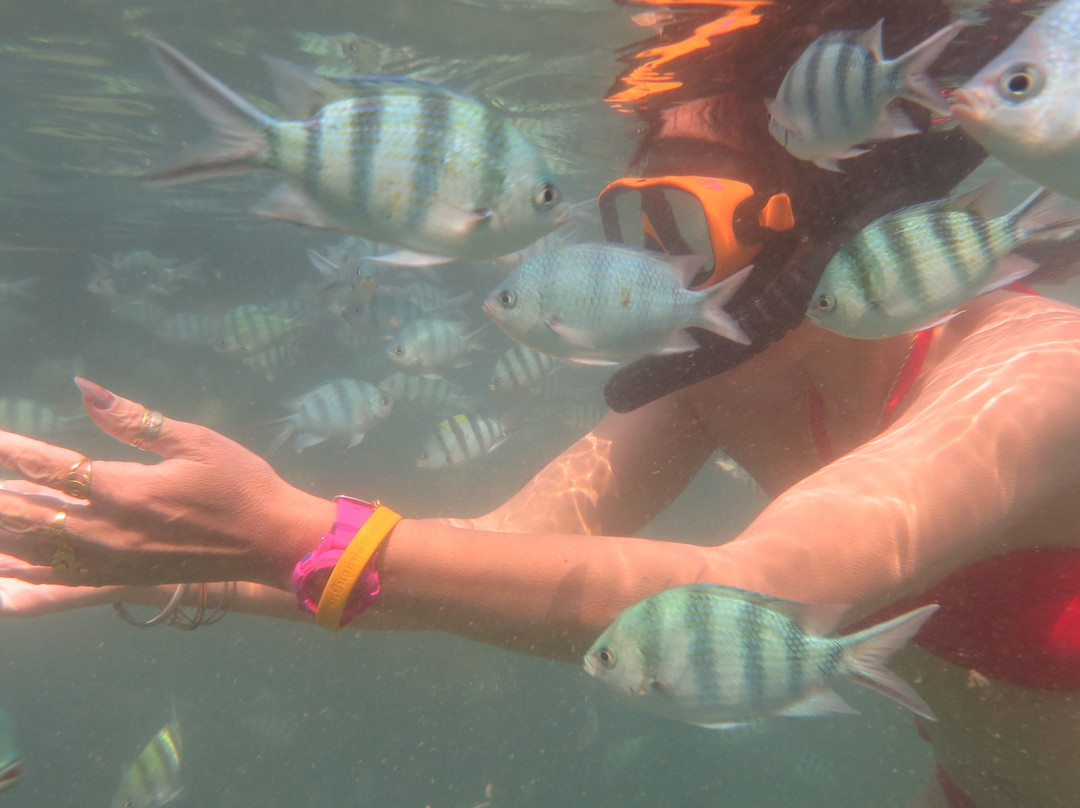 Dive Seacret-玛岛必去景点