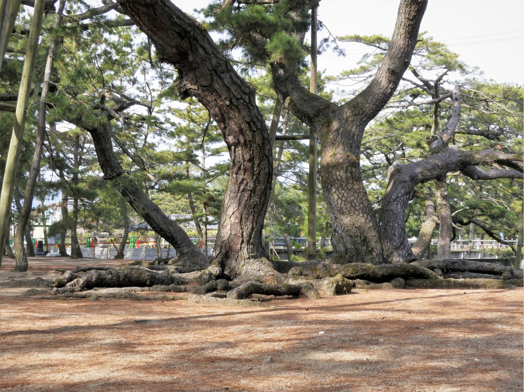 Tsuda Matsubara景点图片