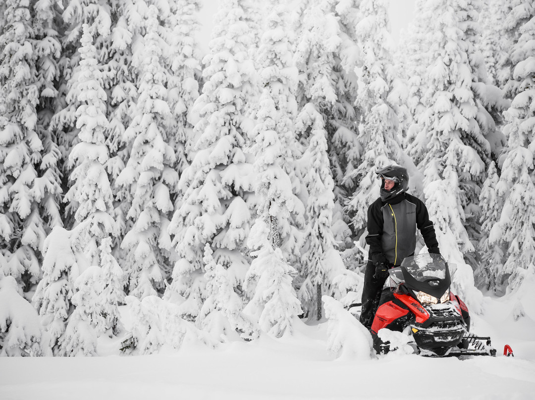 Stadacona Aventures-Saint-Raymond必去景点