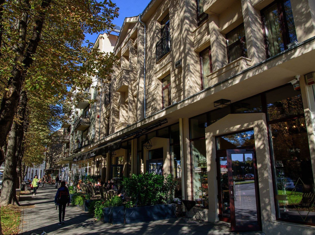 L'Art Hotel Carei主图