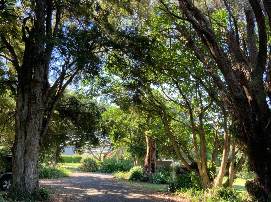 Lavalla Estate主图