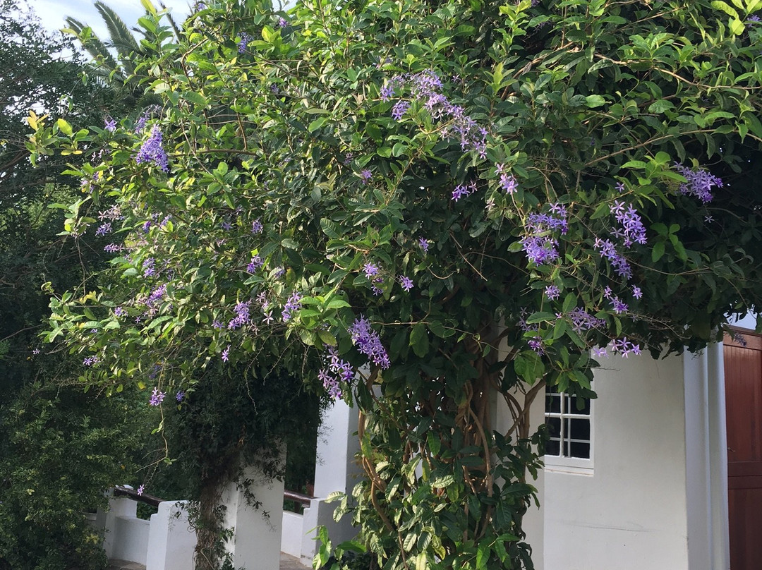 Happy Lands Farmstay主图