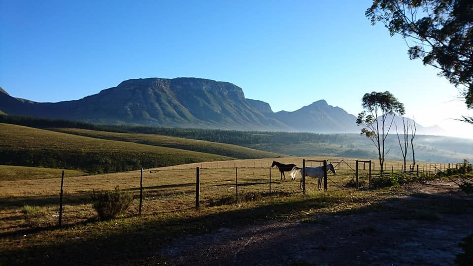 Oudebosch Mountain Lodge主图