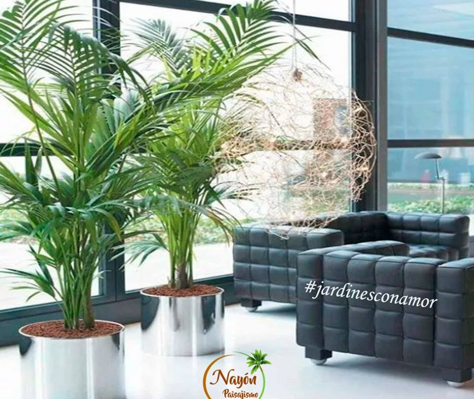 Nayon旅游攻略图片