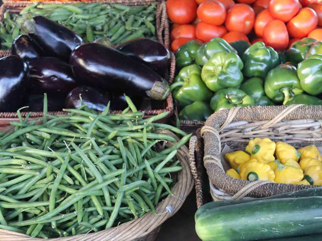Gosford City Farmers Market景点图片