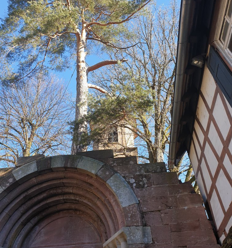 Zisterzienserkloster景点图片