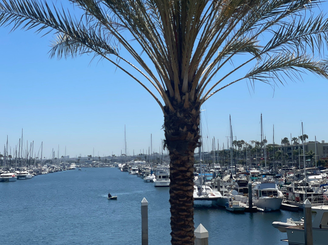 Brizo Bar & Restaurant