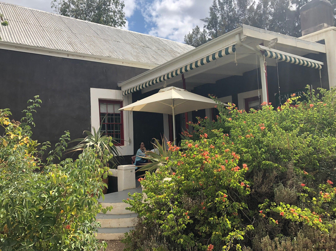 Roger Young Gallery-Calitzdorp必去景点