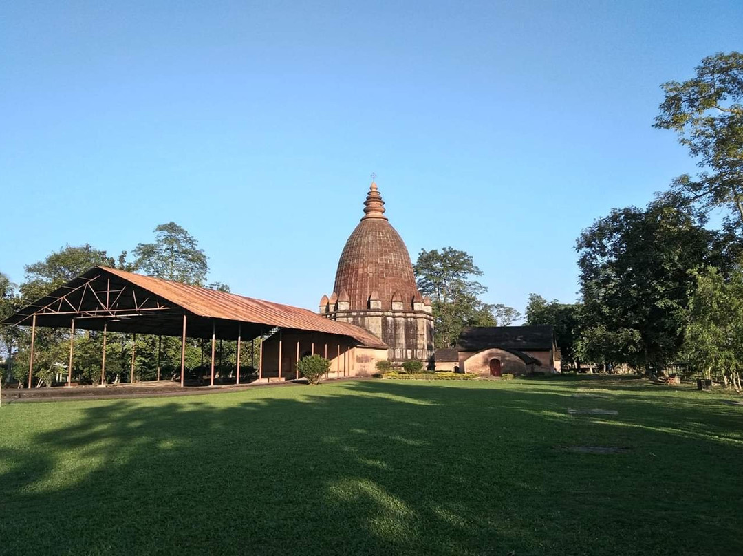 Sivasagar Tank景点图片