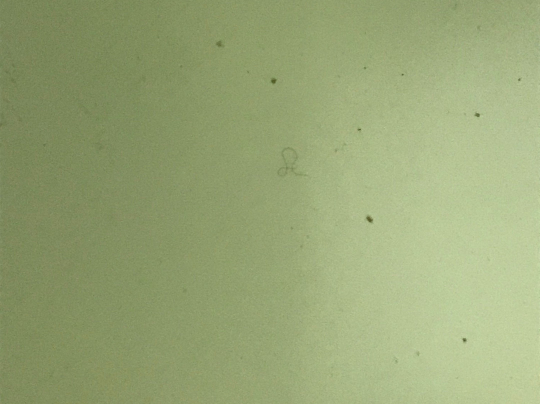 印第安纳波利斯/卡梅尔希尔顿花园酒店主图